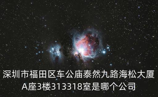 深圳市福田區車公廟泰然九路海松大廈A座3樓313318室是哪個公司
