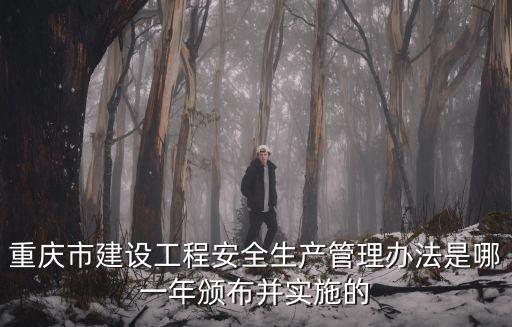重慶市建設工程安全生產管理辦法是哪一年頒布并實施的