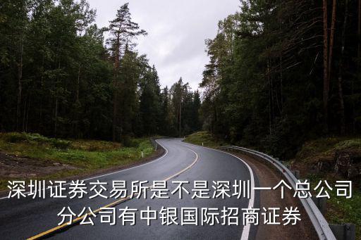 深圳證券交易所是不是深圳一個總公司分公司有中銀國際招商證券