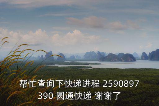 幫忙查詢下快遞進程 2590897390 圓通快遞 謝謝了