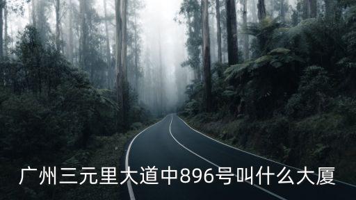 廣州三元里大道中896號(hào)叫什么大廈