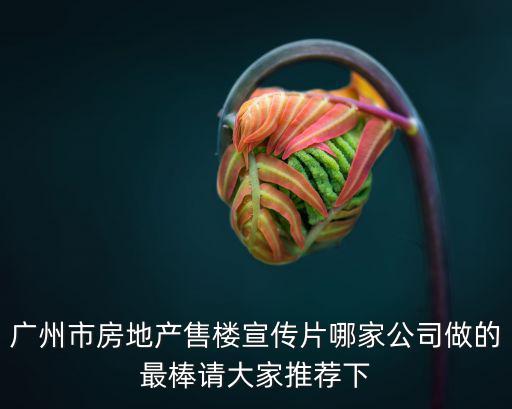 廣州市房地產(chǎn)售樓宣傳片哪家公司做的最棒請(qǐng)大家推薦下