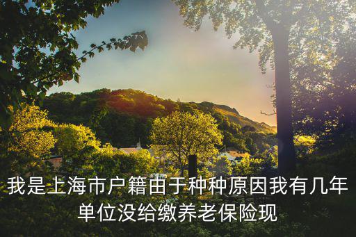 我是上海市戶籍由于種種原因我有幾年單位沒給繳養老保險現