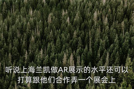 聽說上海蘭凱做AR展示的水平還可以打算跟他們合作弄一個展會上