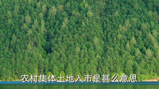農(nóng)村集體土地入市是甚么意思