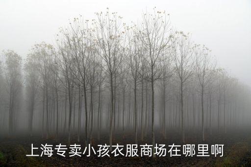 上海市嬰兒商場，上海哪個商場賣學前兒童用品多點