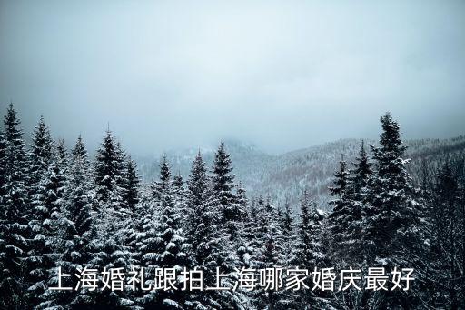 上海婚禮跟拍上海哪家婚慶最好