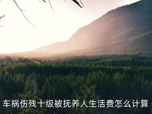 車禍傷殘十級被撫養(yǎng)人生活費(fèi)怎么計算