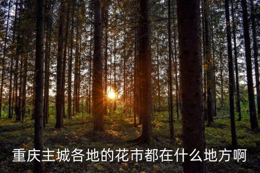 重慶市主城桂花，重慶桂花樹價格表
