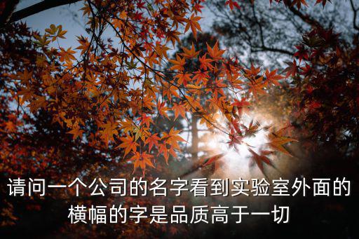 請問一個公司的名字看到實驗室外面的橫幅的字是品質高于一切