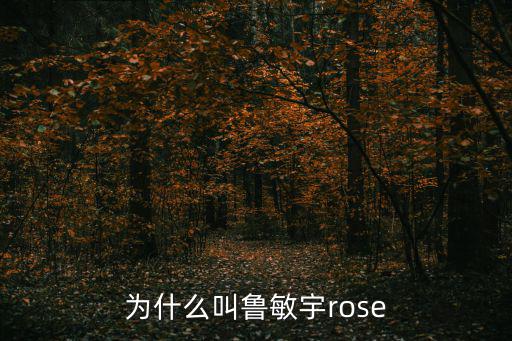深圳 rose，為什么叫魯敏宇rose