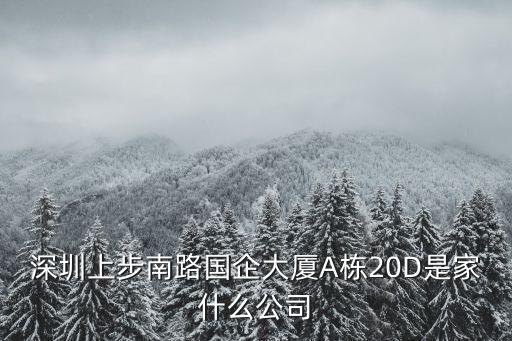 深圳上步南路國企大廈A棟20D是家什么公司