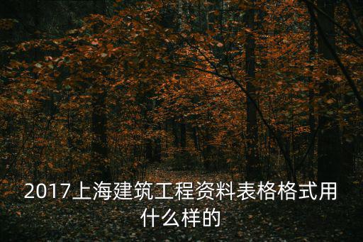 2017上海建筑工程資料表格格式用什么樣的