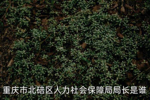 重慶市北碚區政府領導名單，北碚的區委書記是誰