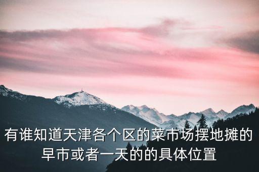 有誰知道天津各個區的菜市場擺地攤的早市或者一天的的具體位置