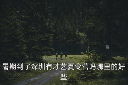 暑期到了深圳有才藝夏令營嗎哪里的好些
