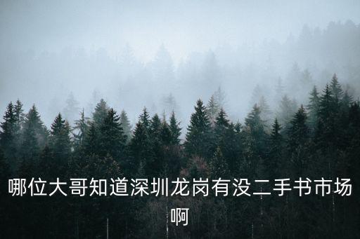 哪位大哥知道深圳龍崗有沒二手書市場(chǎng)啊