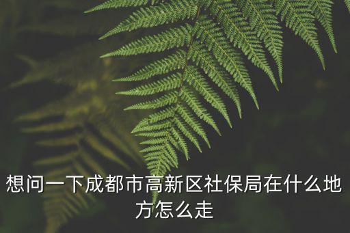 想問一下成都市高新區(qū)社保局在什么地方怎么走