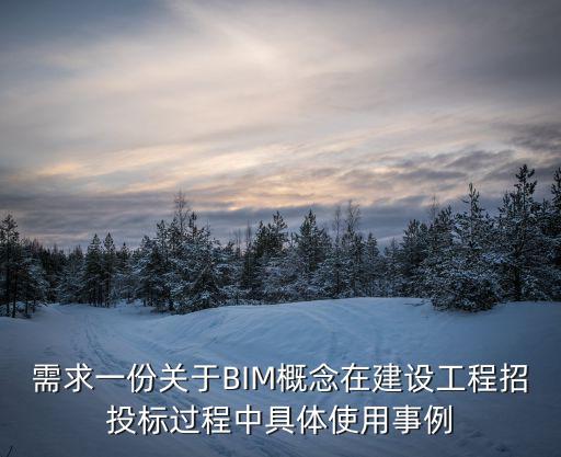 成都市關于bim的要求，BIM市政算量軟件中如何套取清單定額子目