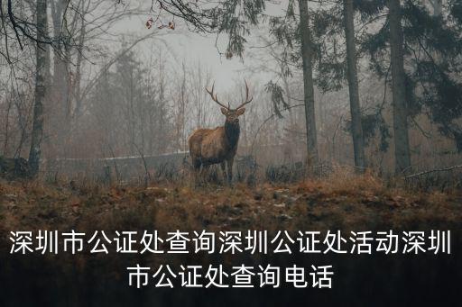 深圳市公證處查詢深圳公證處活動深圳市公證處查詢電話