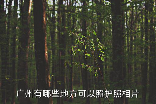廣州有哪些地方可以照護照相片