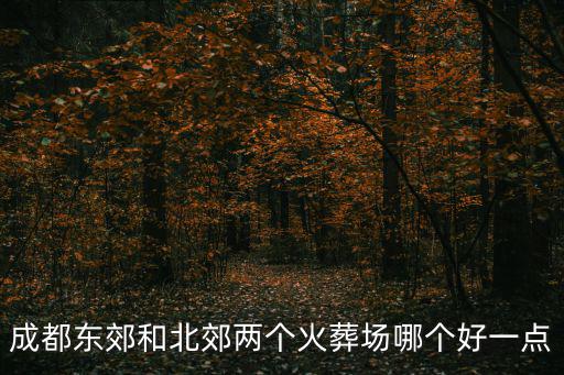 成都市殯儀館招標(biāo)公告，你們成都小孩能領(lǐng)養(yǎng)出來(lái)嗎孤兒院告示是真的嗎