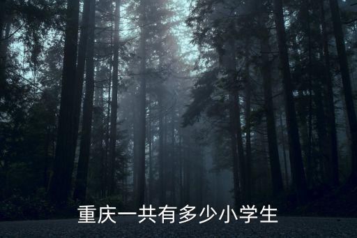 重慶一共有多少小學生