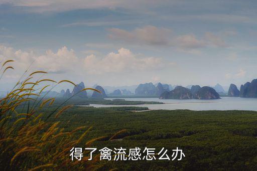 得了禽流感怎么辦