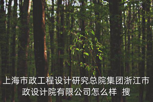 上海市政總院溫州分公司，上海市政工程設計研究總院集團浙江市政設計院有限公司怎么樣  搜