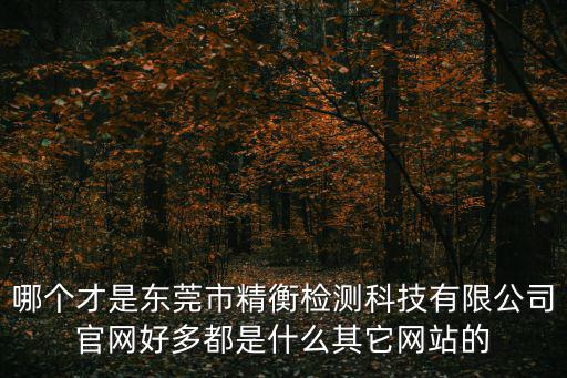 哪個才是東莞市精衡檢測科技有限公司官網好多都是什么其它網站的