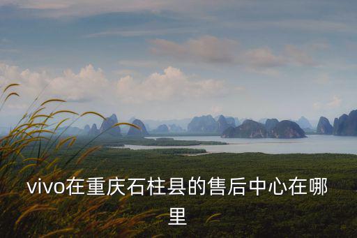 重慶市三河鎮政府，重慶市政府地址和公交路線