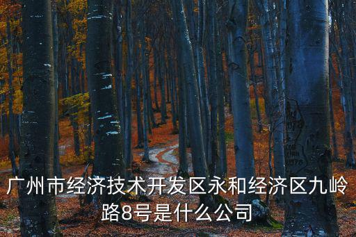 廣州市經濟技術開發區永和經濟區九嶺路8號是什么公司