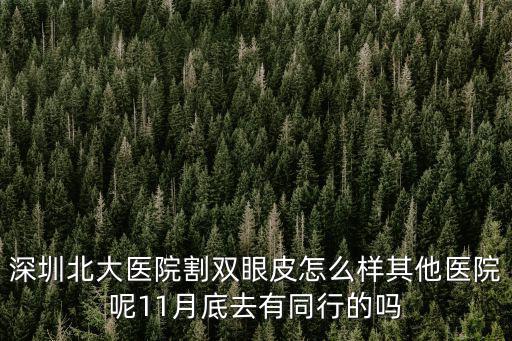 深圳北大醫(yī)院割雙眼皮怎么樣其他醫(yī)院呢11月底去有同行的嗎