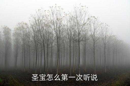 圣寶怎么第一次聽說