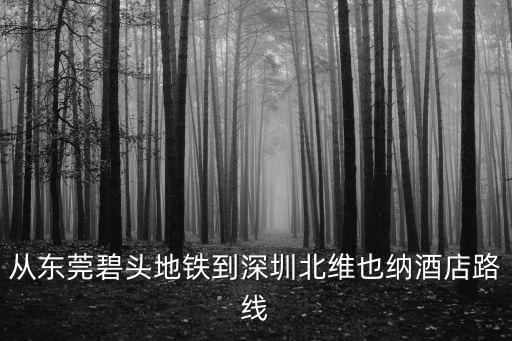 從東莞碧頭地鐵到深圳北維也納酒店路線