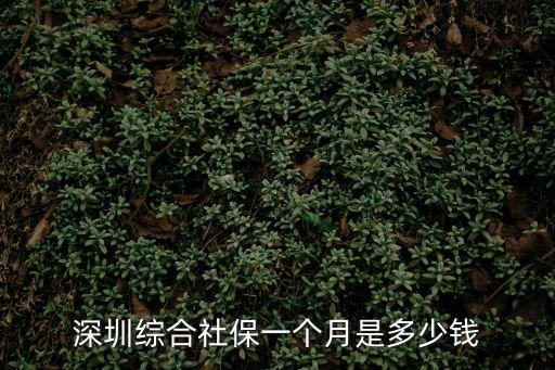 深圳綜合險，深圳綜合社保一個月是多少錢