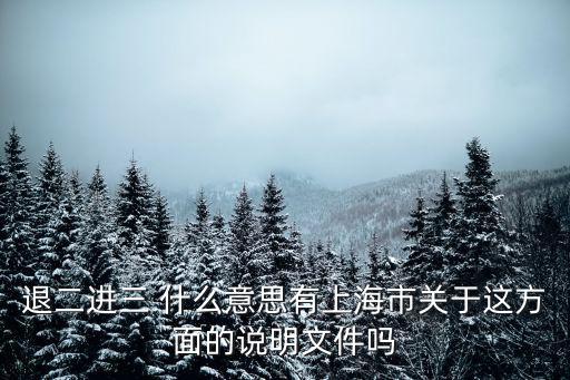 退二進三 什么意思有上海市關于這方面的說明文件嗎