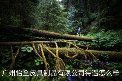 廣州怡全皮具制品有限公司待遇怎么樣