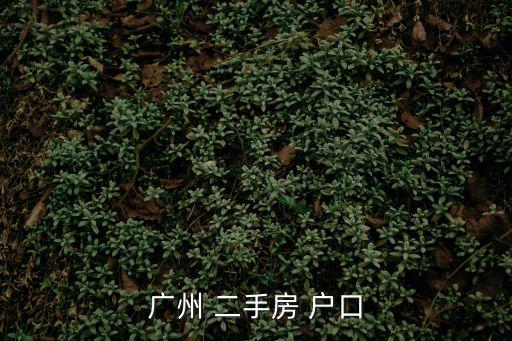 廣州 二手房 戶口