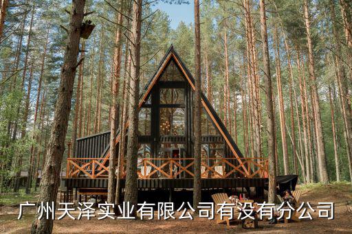 廣州天澤實業有限公司有沒有分公司