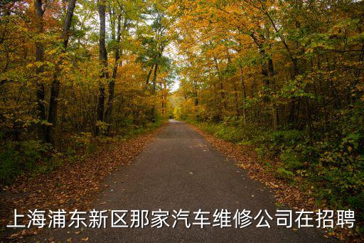 上海市浦東新區(qū)航頭鎮(zhèn)招聘，2012上海浦東新區(qū)哪個(gè)理發(fā)店招聘