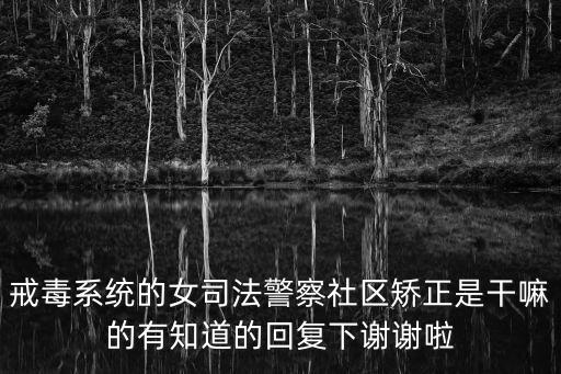 戒毒系統的女司法警察社區矯正是干嘛的有知道的回復下謝謝啦