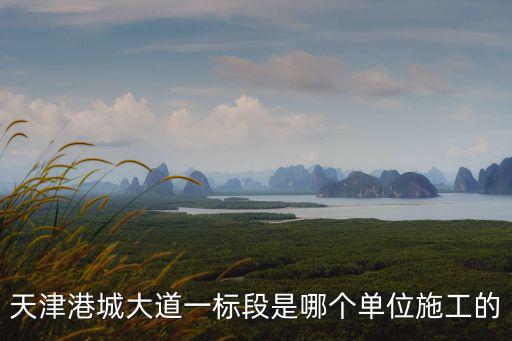 天津港城大道一標段是哪個單位施工的