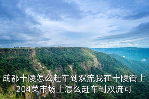 成都十陵怎么趕車到雙流我在十陵街上204菜市場上怎么趕車到雙流可