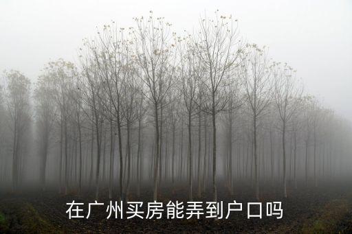 在廣州買房能弄到戶口嗎