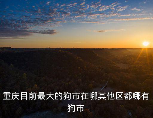 重慶目前最大的狗市在哪其他區(qū)都哪有狗市