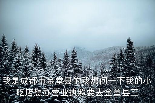我是成都市金堂縣的我想問一下我的小吃店想辦營業(yè)執(zhí)照要去金堂縣三