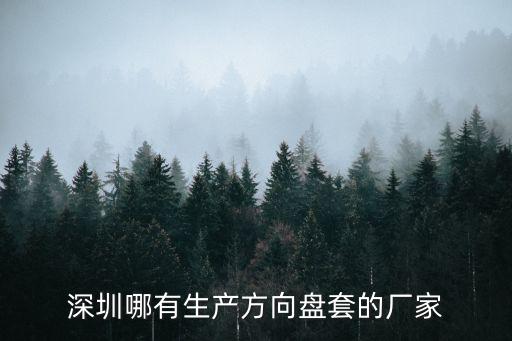 深圳哪有生產(chǎn)方向盤套的廠家