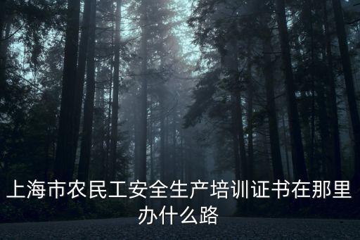上海市農民工安全生產培訓證書在那里辦什么路