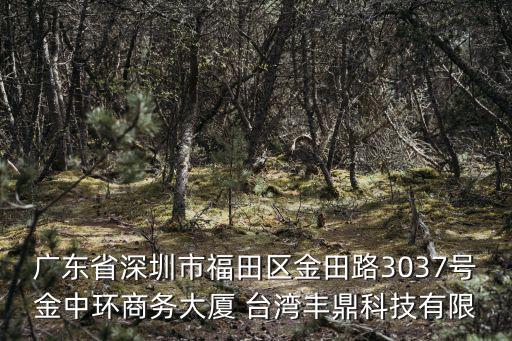 廣東省深圳市福田區(qū)金田路3037號金中環(huán)商務(wù)大廈 臺灣豐鼎科技有限